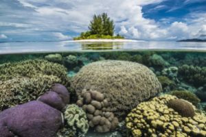 RAJA AMPAT – MARZO I 2027
