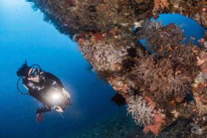 RAJA AMPAT – MARZO II 2027 Foto 6