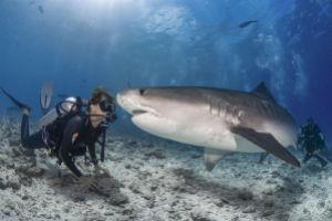FUVAHMULAH – JUNIO