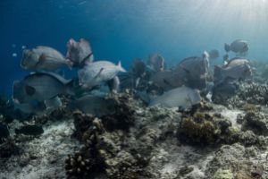 SIPADAN – OCTUBRE Foto 2
