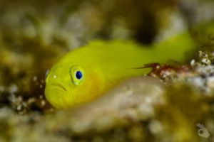 SIPADAN – OCTUBRE Foto 5