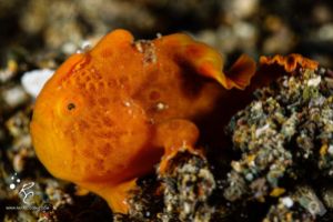 SIPADAN – OCTUBRE Foto 4
