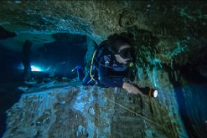 Devocean Divers Mexico  Foto 16