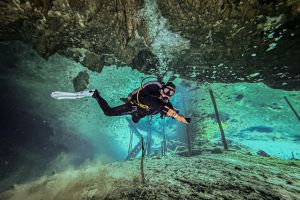CENOTE DREAM-GATE TULUM - Quintana Roo Playa del carmen México foto 5
