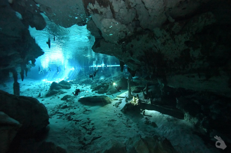 CENOTE DOS OJOS, TULUM - Quintana Roo Playa del Carmen México