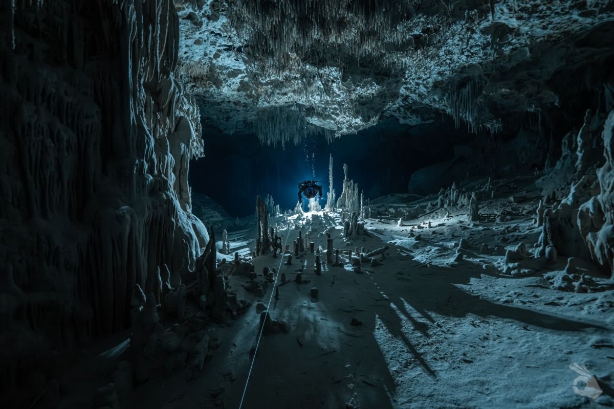 CENOTE XULU - Quintana Roo Playa del Carmen Mexico