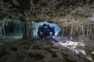 CENOTE XULU - Quintana Roo Playa del Carmen México foto 10