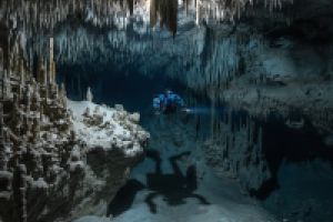 CENOTE XULU - Quintana Roo Playa del Carmen México foto 2