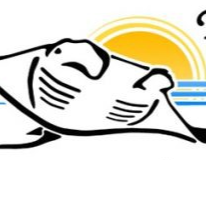 Tenerife Diving Academy