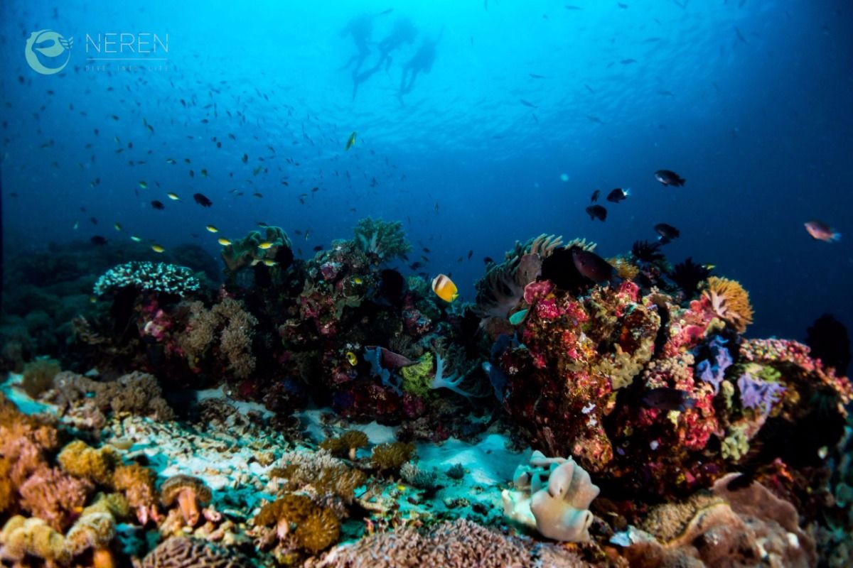 SEBAYUR KECIL, KOMODO NATIONAL PARK - East Nusa Tenggara Pelabuhan KP 3, Labuan Bajo, West Manggarai Regency, East Nusa Tenggara, Indonesia Indonesia