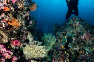 BATU BOLONG, KOMODO NATIONAL PARK - East Nusa Tenggara Labuan Bajo, Komodo, West Manggarai Regency, East Nusa Tenggara Indonesia foto 2