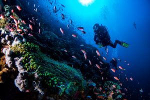 BATU BOLONG, KOMODO NATIONAL PARK - East Nusa Tenggara Labuan Bajo, Komodo, West Manggarai Regency, East Nusa Tenggara Indonesia foto 5