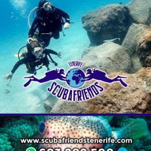 SCUBAFRIENDS TENERIFE