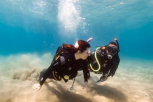Bautismo de buceo en Tarragona o Torredembarra