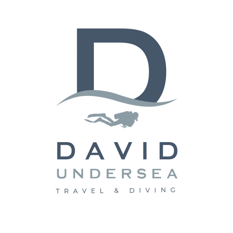 David Undersea