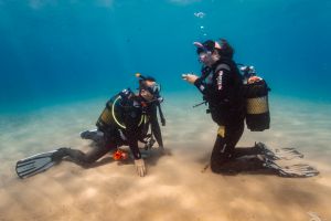 David Undersea Foto 7