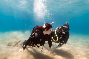 David Undersea Foto 8