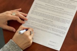 David Undersea Foto 5