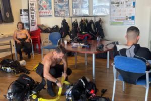 David Undersea Foto 3