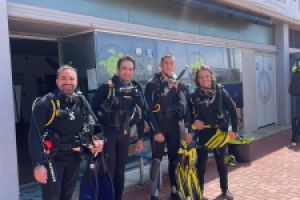 David Undersea Foto 4