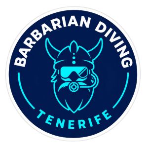 Barbarian diving Tenerife