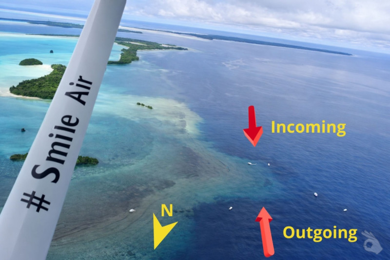 BLUE CORNER - PALAU -  Koror Palau
