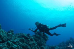 BLUE CORNER - PALAU -  Koror Palau foto 1