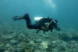 TATAWA BESAR - PARQUE NACIONAL DE ISLA KOMODO - North Sumatra Komodo Indonesia foto 4