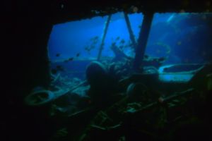 THISTLEGORM - ESTRECHO DE GÜBAL - EGIPTO  -  Hurghada Egipto