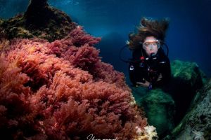 Atlantis Diving Lanzarote Foto 11