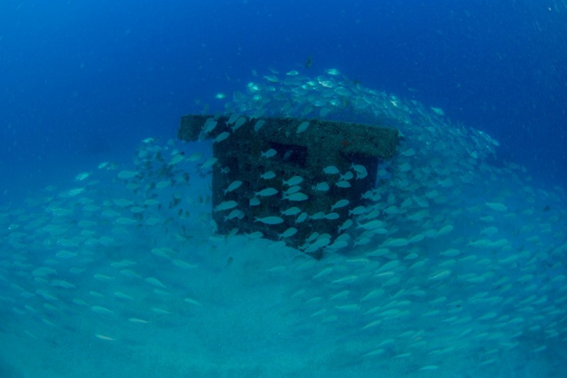 BIOTOPOS DE ARGUINEGUIN -GRAN CANARIA - Las Palmas Arguineguin España