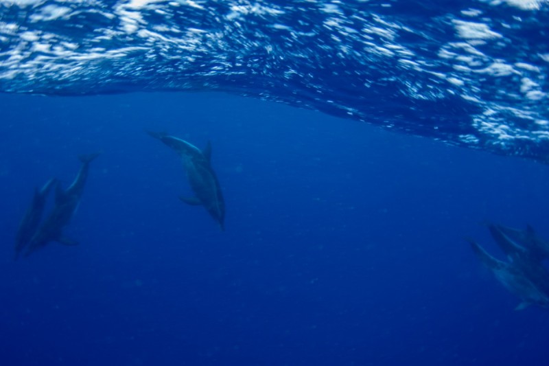 CALETA BAJA - GRAN CANARIA - Las Palmas Gáldar España