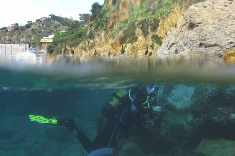 CALA PUNTA SANTANA (BLANES) - Girona Blanes España