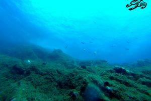 CUEVAS DE PORT SALVI - Girona Sant Feliu de Guíxols España foto 12