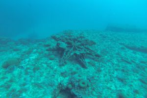 CUEVAS DE PORT SALVI - Girona Sant Feliu de Guíxols España foto 5