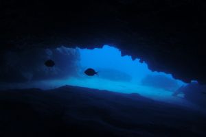 CUEVAS DE PORT SALVI - Girona Sant Feliu de Guíxols España foto 6