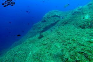 CUEVAS DE PORT SALVI - Girona Sant Feliu de Guíxols España foto 11
