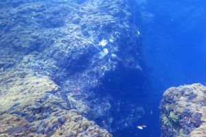 LA CATEDRAL - GRAN CANARIA - Las Palmas Las Palmas de Gran Canaria España foto 10