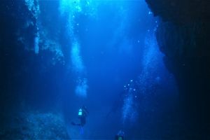 LA CATEDRAL - GRAN CANARIA - Las Palmas Las Palmas de Gran Canaria España foto 4