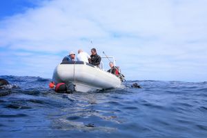 LA CATEDRAL - GRAN CANARIA - Las Palmas Las Palmas de Gran Canaria España foto 9