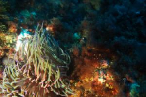 Luz y Color | PUNTA BALLOTA - Cantabria Miengo Spain foto 2