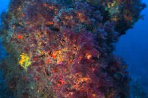 PUNTA BALLOTA - Cantabria Miengo Spain foto 3