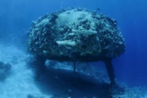 PRÉCONTINENT II, ARRECIFE DE SHA’AB RUMI (MAR ROJO, SUDÁN) -  port sudan Sudan foto 3