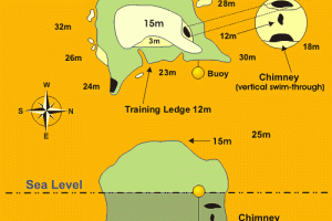 SAIL ROCK (ENTRE LAS ISLAS DE KOH TAO Y KOH PHANGAN, GOLFO DE TAILANDIA, TAILANDIA) -  Ko Tao Thailand foto 4