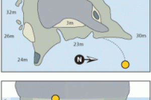 SAIL ROCK (ENTRE LAS ISLAS DE KOH TAO Y KOH PHANGAN, GOLFO DE TAILANDIA, TAILANDIA) -  Ko Tao Thailand foto 5