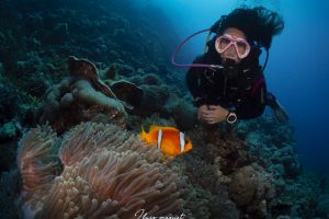 MERLO- MAR ROJO - SUDÁN -  Port Sudan Sudán foto 5