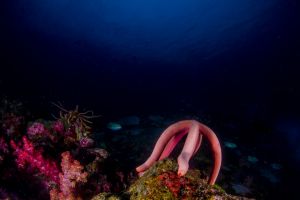HIN BIDA – ISLA DE PHI PHI – MAR DE ANDAMÁN SUR – TAILANDIA -  Tap Lamu Pier Tailandia foto 5