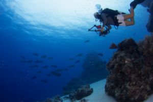 THE CANYONS (PASO DE TIPUTA, RANGIROA) -  Rangiroa Polinesia francés foto 3