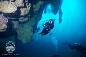 THE BLUE HOLE (LIGHTHOUSE REEF, BELIZE) -  LIGHTHOUSE REEF Belice foto 4