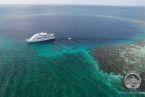 THE BLUE HOLE (LIGHTHOUSE REEF, BELIZE) -  LIGHTHOUSE REEF Belice foto 6